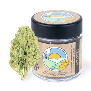 Burr's place - 1/8 OZ - CROSTATA - SUN GROWN