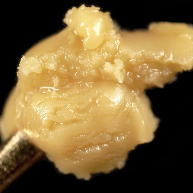 Maven - 1G- GELATO MINTS- LIVE ROSIN Main Image
