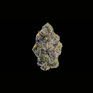 Maven - 1/8 OZ- GELATO MINTS- PREMIUM INDOOR