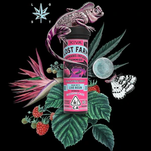 Kiva lost farm - 10CT- RASPBERRY- LIVE RESIN- GUMMIES