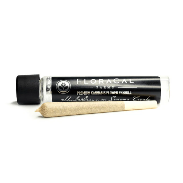 Floracal - 1G - APPLE TART - PREROLL Main Image