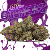 1/8 OZ- GRAPE GUSHERS- PREMIUM INDOOR