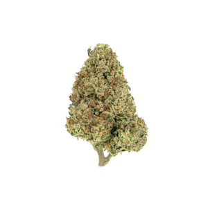 Burr's place - 1/8 OZ- DON CARLOS- SUN GROWN