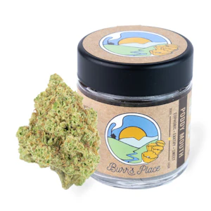 Burr's place - 1/8 OZ - PODDY MOUTH- SUN GROWN