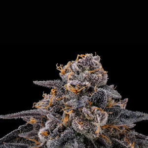 Floracal - 1/8 OZ- JULIUS- PREMIUM INDOOR