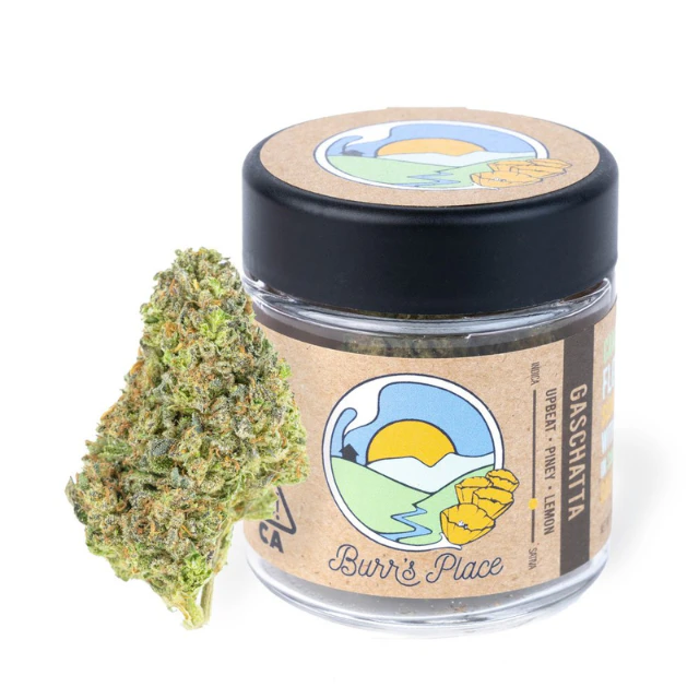 Burr's place - 1/8 OZ- GASCHATTA- SUN GROWN Main Image