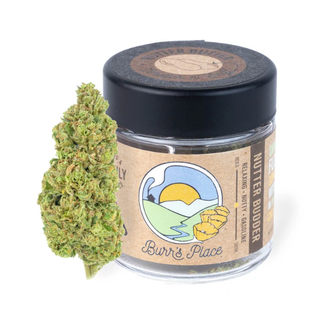 Burr's place - 1/8 OZ- NUTTER BUDDER- SUN GROWN Main Image