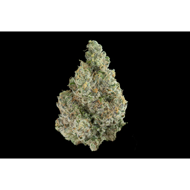 Maven - 1/8 OZ- AJO BLANCO- PREMIUM INDOOR Main Image