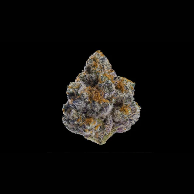 Maven - 1/8 OZ- GOLDEN HOUR- PREMIUM INDOOR Main Image
