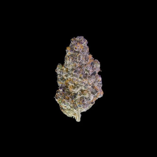 Maven - 1/2 OZ- KEY LIME JACK- PREMIUM MINIS Main Image