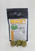1/8 OZ- MIMOSA- SUN GROWN