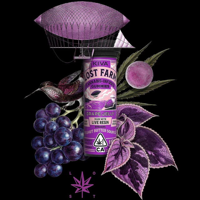 Kiva lost farm - 10CT- GRAPE JELLY PEANUT BUTTER SOUFFLE- GUMMY Main Image