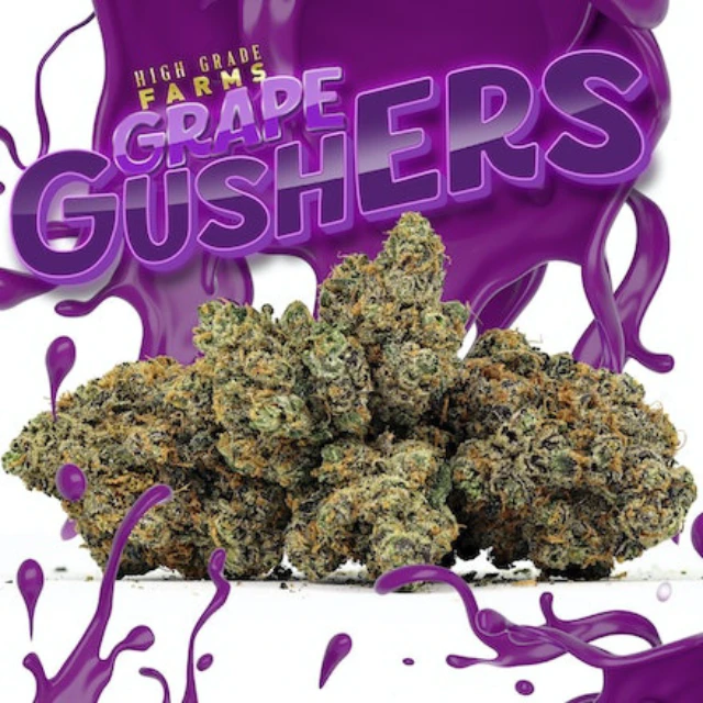 High grade farms - 1/8 OZ- GRAPE GUSHERS- PREMIUM SMALLS Main Image