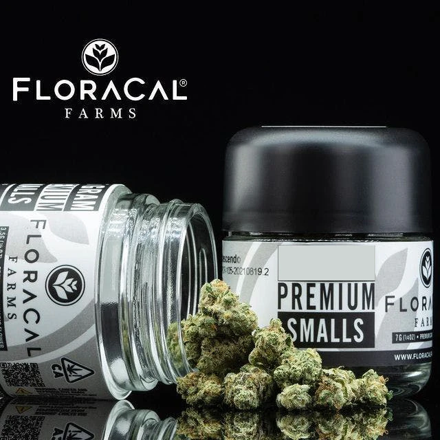 Floracal - 1/8 OZ- DREAMER'S CUT- PREMIUM SMALLS Main Image