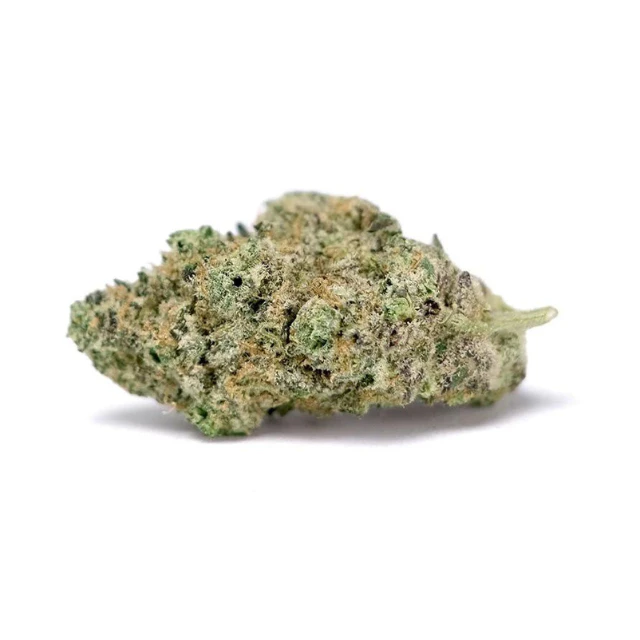 Delighted - 1/8 OZ- BLACK POWDER- PREMIUM INDOOR Main Image
