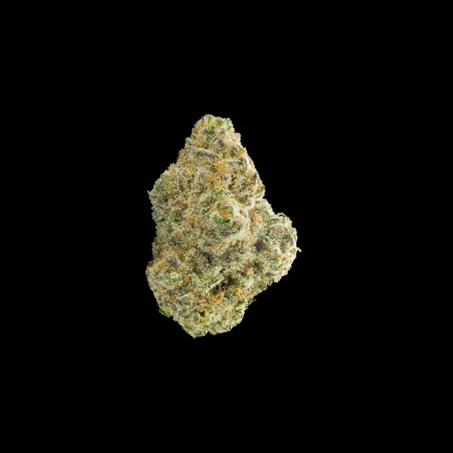 Maven - 1/8 OZ- STRAWBERRY CAVA- PREMIUM INDOOR Main Image