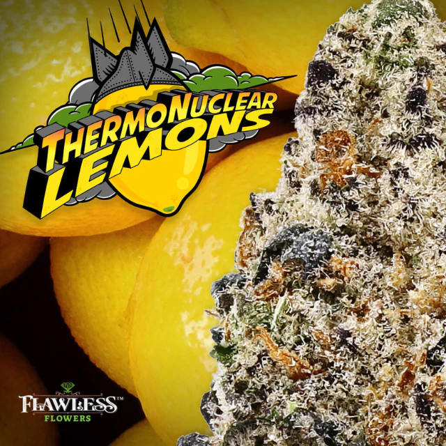 Flawless - 1/8 OZ- THERMONUCLEAR LEMONS- PREMIUM INDOOR Main Image