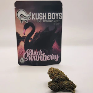 Kush boys - 1/8 OZ- BLACK SWANBERRY- LIGHT ASSIST
