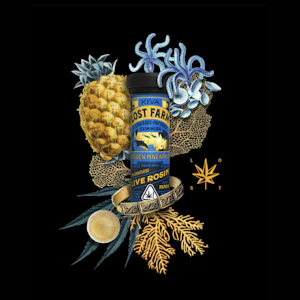 Kiva lost farm - 10CT - GOLDEN PINEAPPLE PAPAYA -  LIVE ROSIN GUMMY