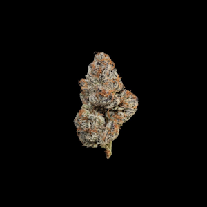 Maven - 1/8 OZ- CHERRY GAS- PREMIUM INDOOR