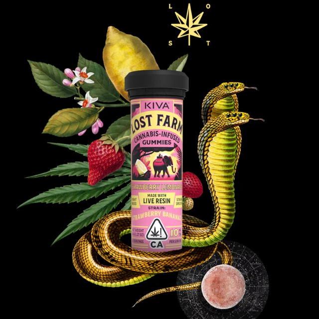 Kiva lost farm - 10CT- STRAWBERRY LEMONADE- GUMMY Main Image